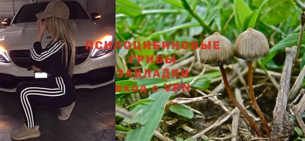 jwh Белокуриха