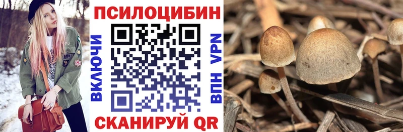Купить закладки  Туран  Галлюциногенные грибы Magic Shrooms 
